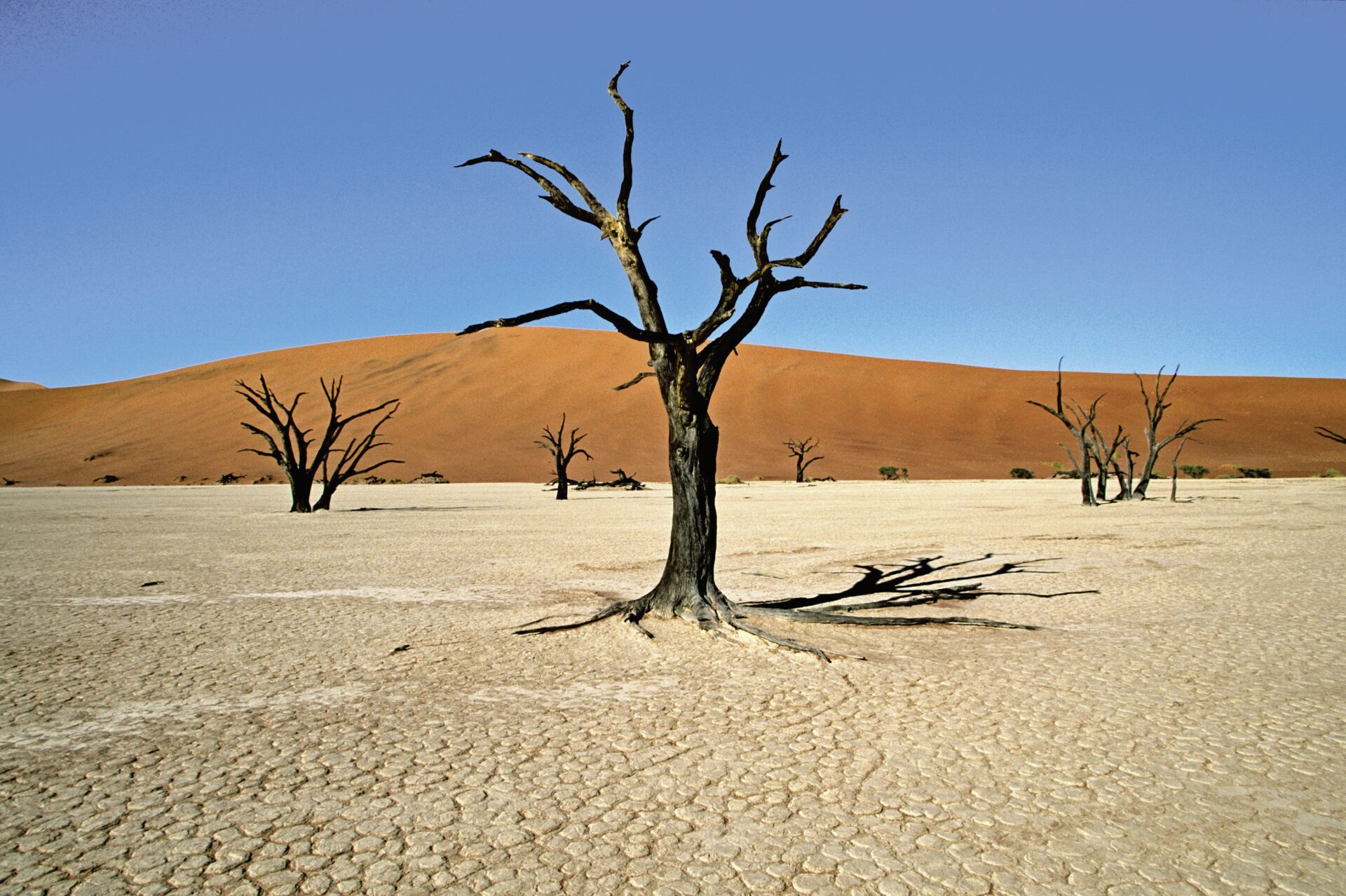 Deadvlei