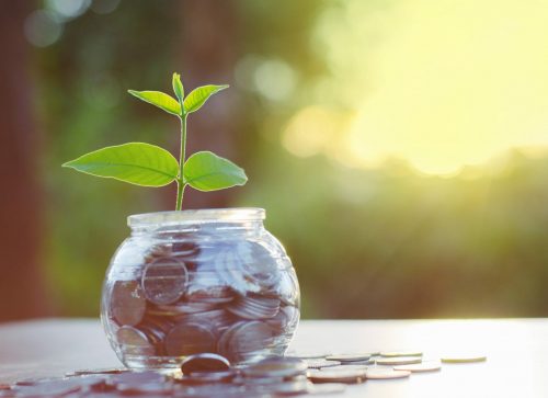 Sprout,Growing,On,Glass,Piggy,Bank,With,Sunset,Light,In