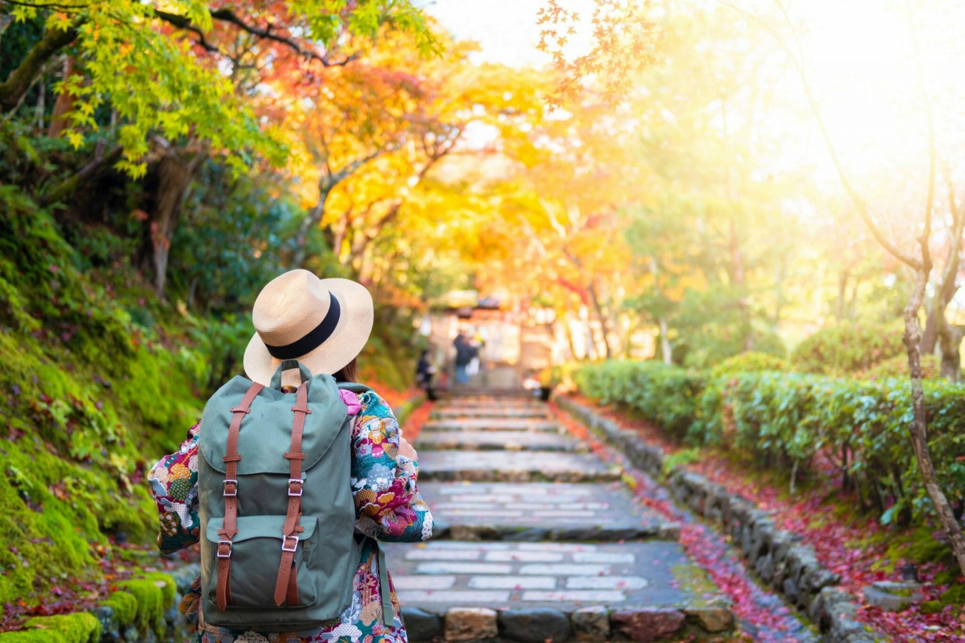 Tourist,Is,Traveling,And,Sightseeing,In,The,Park,During,Autumn